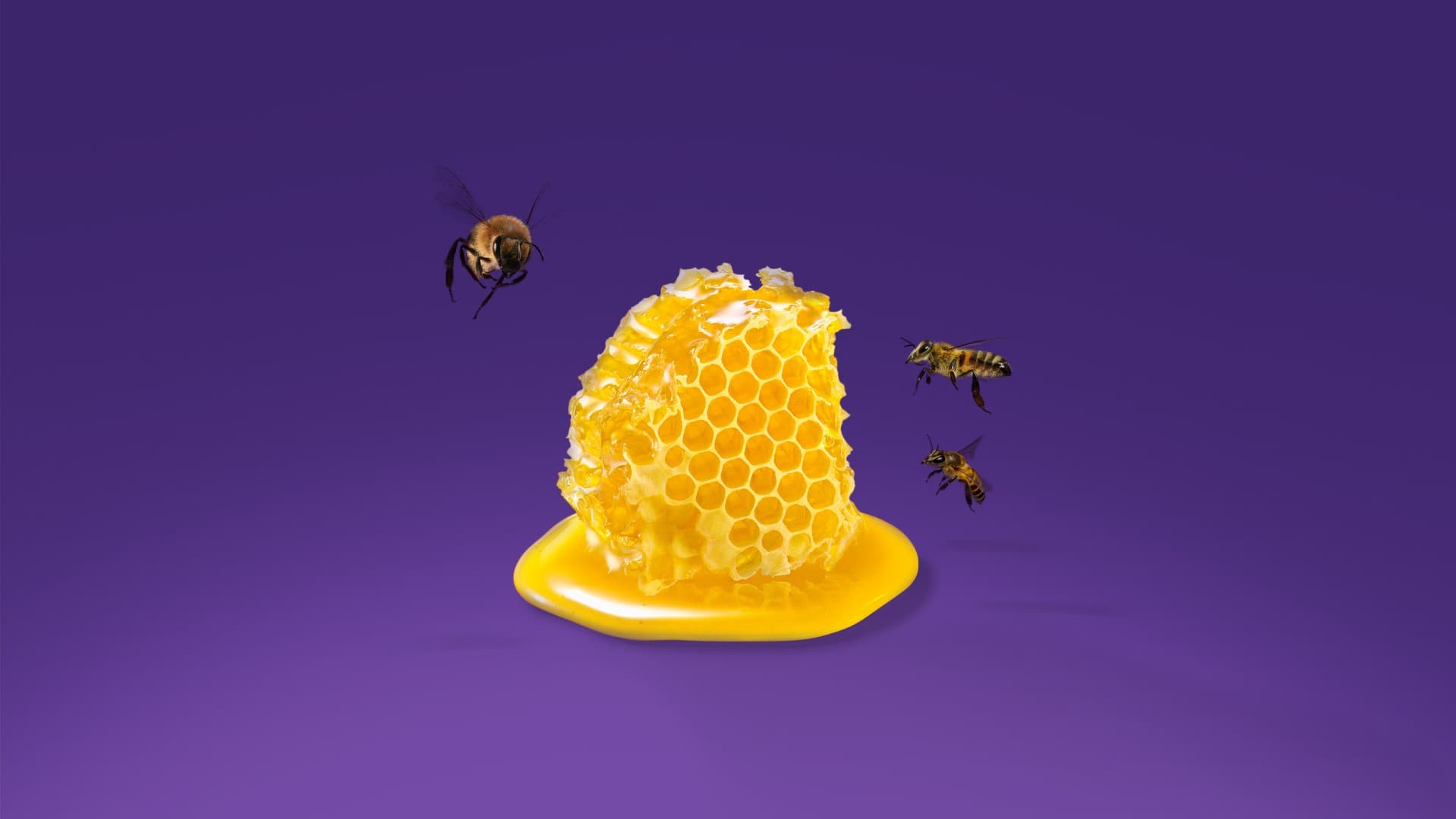 Formación a medida para un cambio de mindset y de procesos